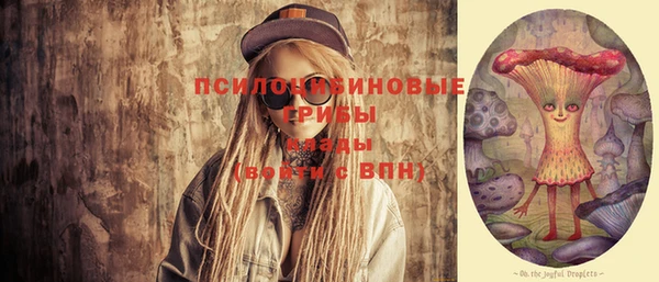 ГАЛЛЮЦИНОГЕННЫЕ ГРИБЫ Арсеньев