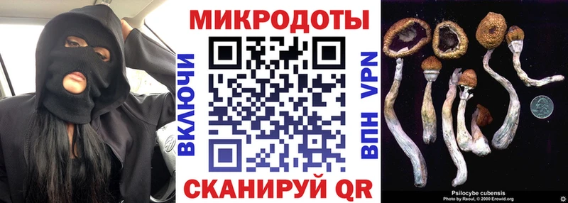 Галлюциногенные грибы Psilocybe мориарти формула Тобольск