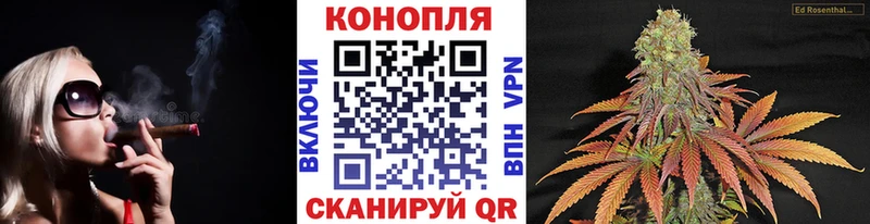 Конопля тримм  Тобольск 